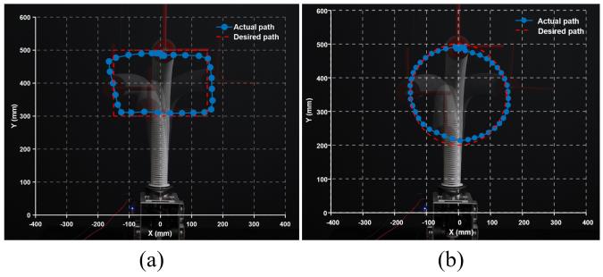 运动灵活性测试